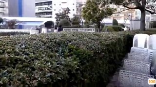 帅气的欧美男明星_欧美亚洲精品成人视频